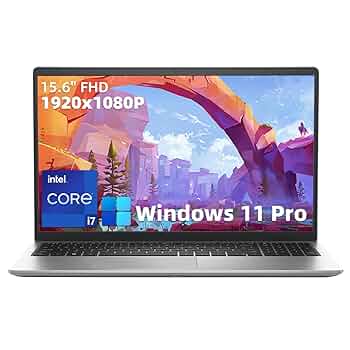 Amazon.com: Dell Inspiron-3530 15.6in-FHD Business Laptop